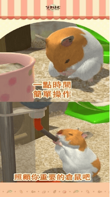 我的仓鼠破解版无限金币版展示图1
