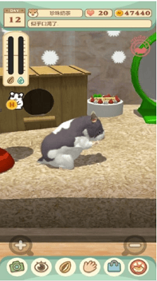 我的仓鼠破解版无限金币版展示图3