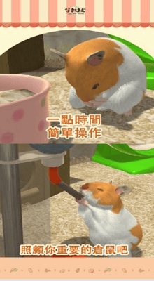 我的仓鼠破解版无限金币版展示图4