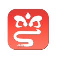 文化广东app安卓版