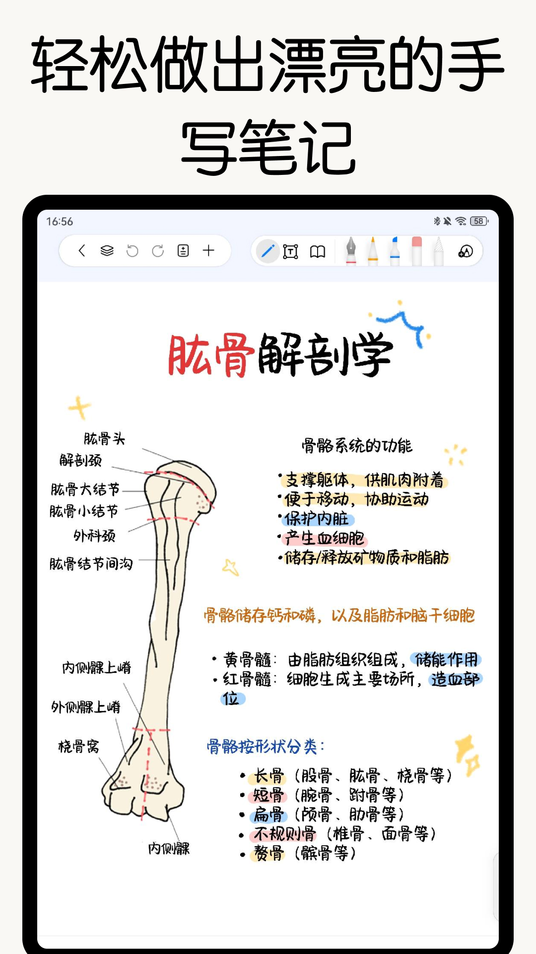 自由笔记安卓版软件展示图1
