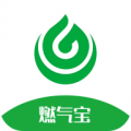 燃气宝app安卓版
