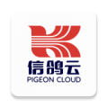 信鸽云app安卓版