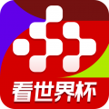 央视频app安卓版