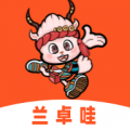兰卓哇app安卓版