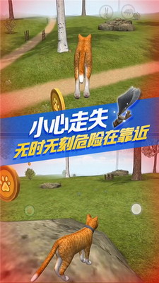 猫咪生存模拟器破解版无限经验无限金币版展示图3