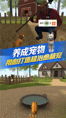 猫咪生存模拟器破解版无限经验无限金币版展示图1