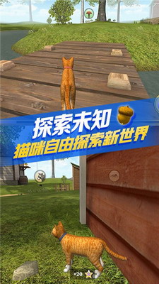 猫咪生存模拟器破解版无限经验无限金币版展示图2