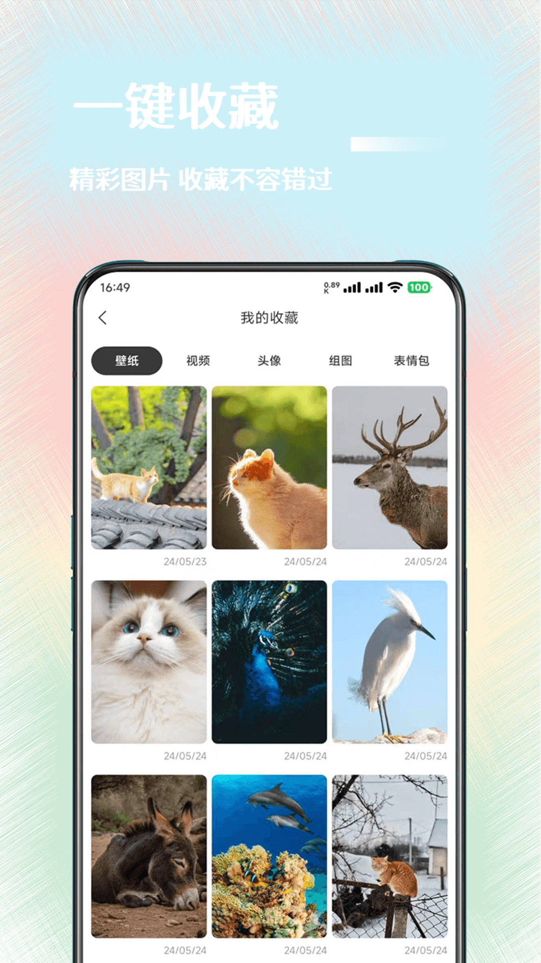 氧气壁纸安卓版软件展示图4