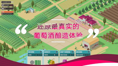 百日酿造物语v1.5.0中文破解版游戏截图2