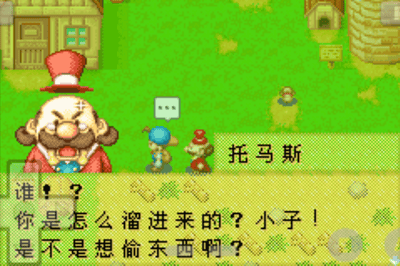 牧场物语矿石镇的伙伴们破解版无限金币展示图3