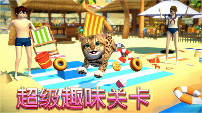 猫咪模拟器破解版无限金币展示图1