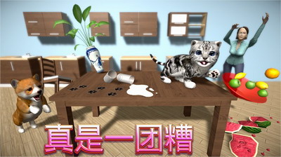 猫咪模拟器破解版无限金币展示图2