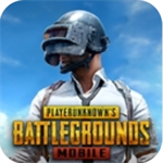 pubg国际版地铁逃生 v2.9.0