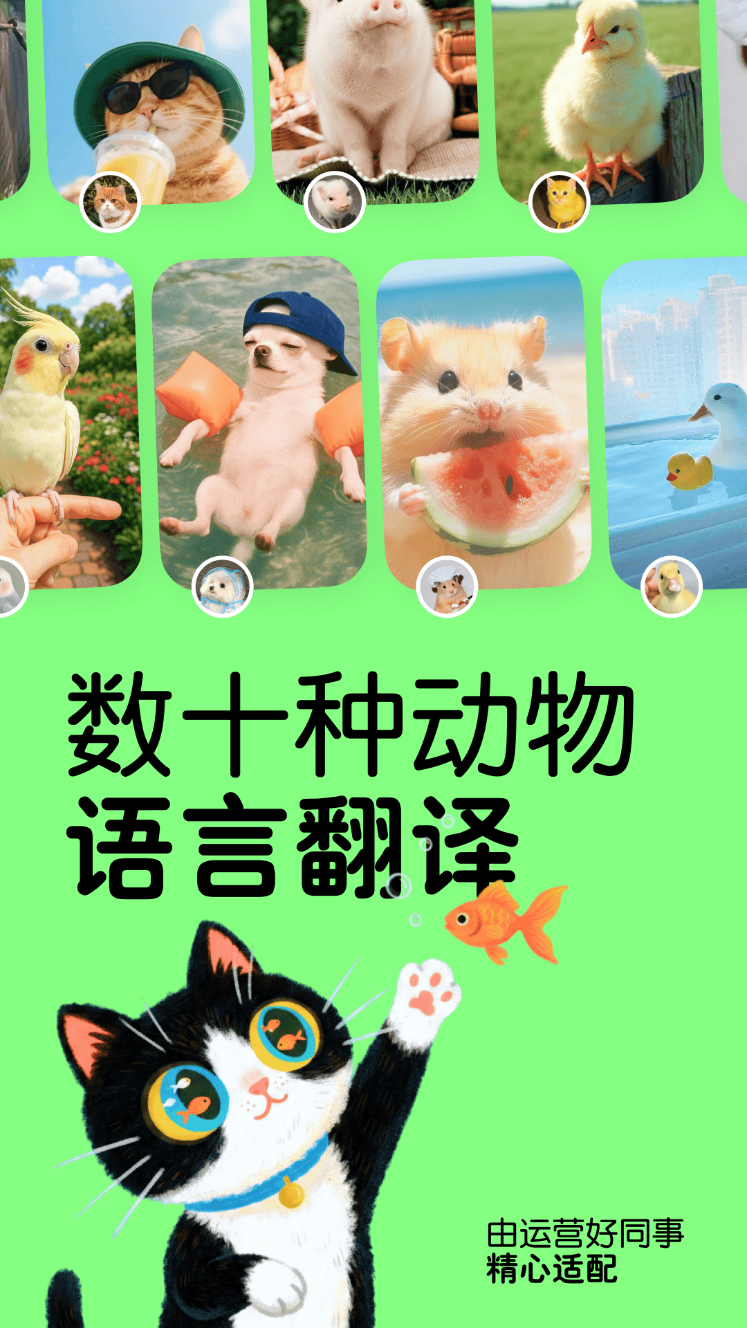 宠言app安卓版软件展示图1