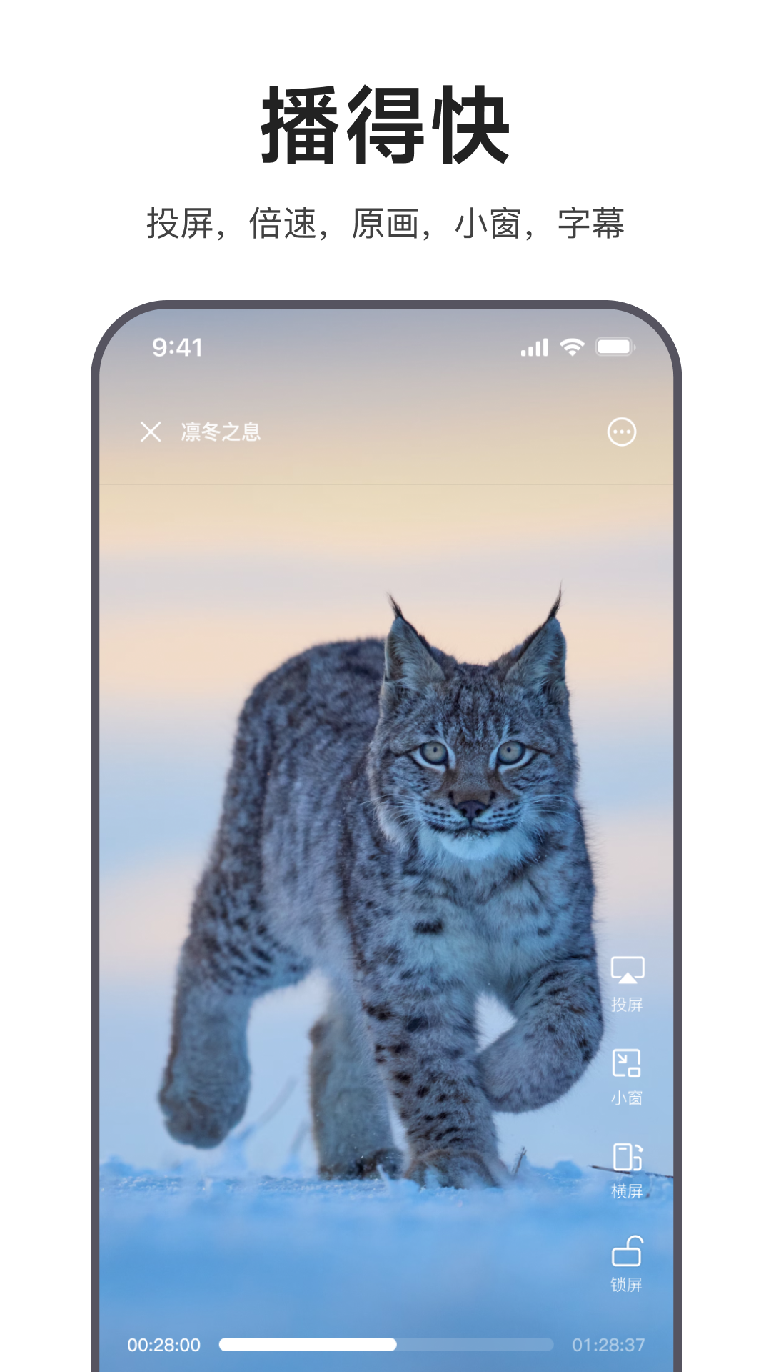 迅雷浏览器安卓版软件展示图3