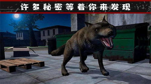 我的流浪生涯游戏截图2
