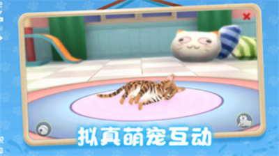 养了个猫2023无限金币免广告版游戏截图1