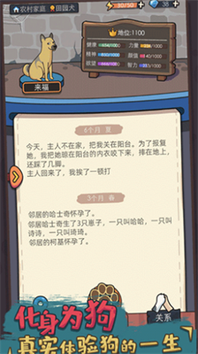 狗生模拟器破解版内置修改器版游戏截图3