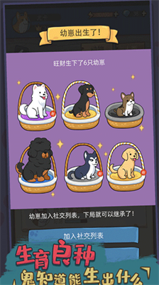 狗生模拟器破解版内置修改器版游戏截图1