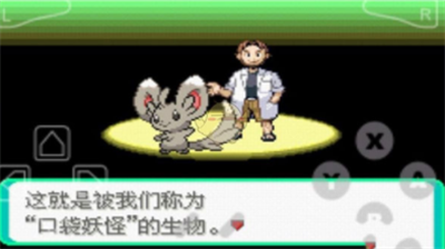 口袋妖怪漆黑的魅影破解版自带金手指版游戏截图1