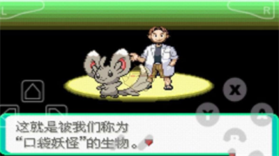口袋妖怪漆黑的魅影破解版无限大师球版游戏截图1