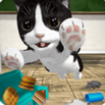 猫咪模拟器无限金币无限钻石版 v5.0.8
