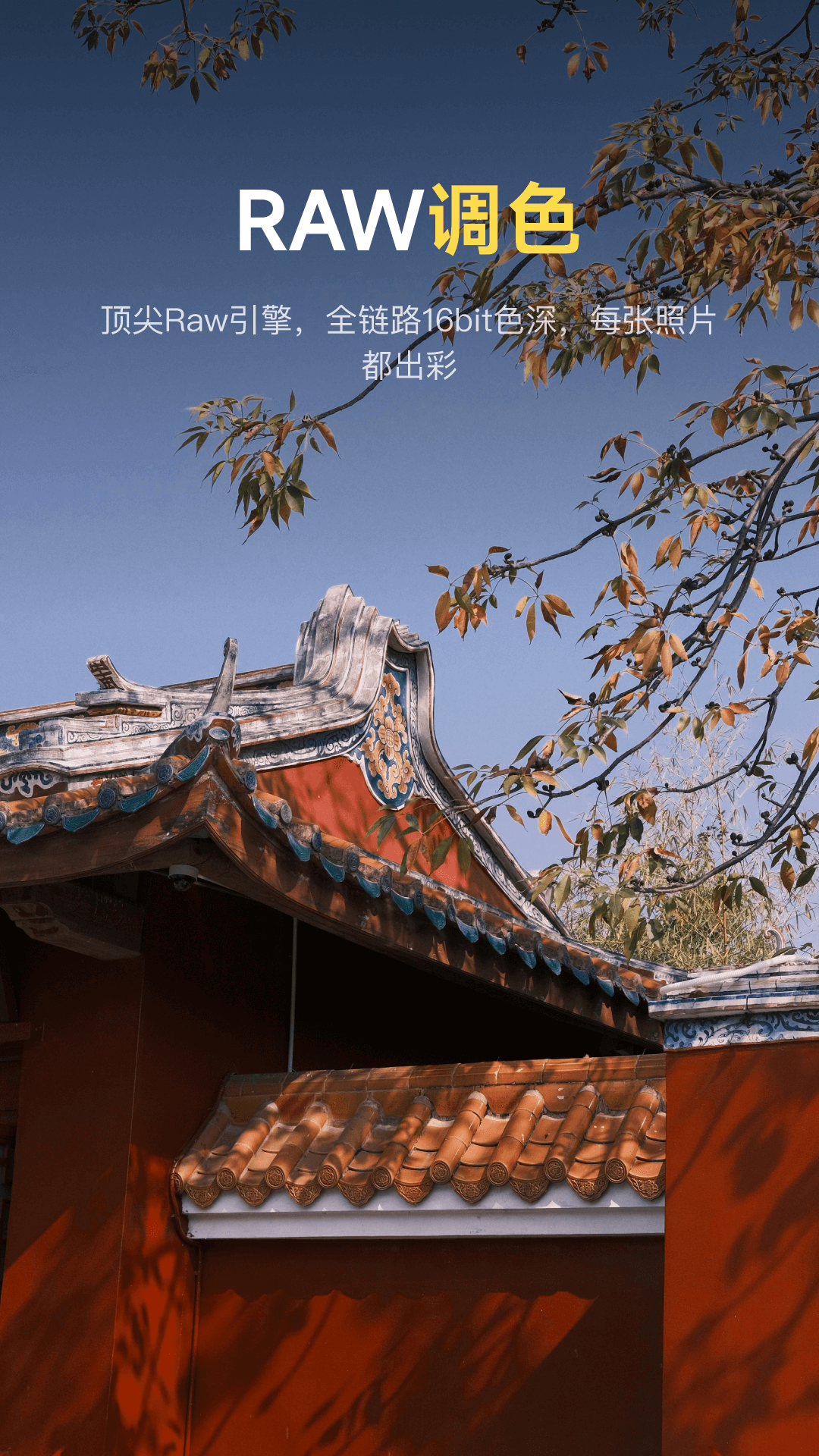 像素蛋糕安卓版软件展示图2