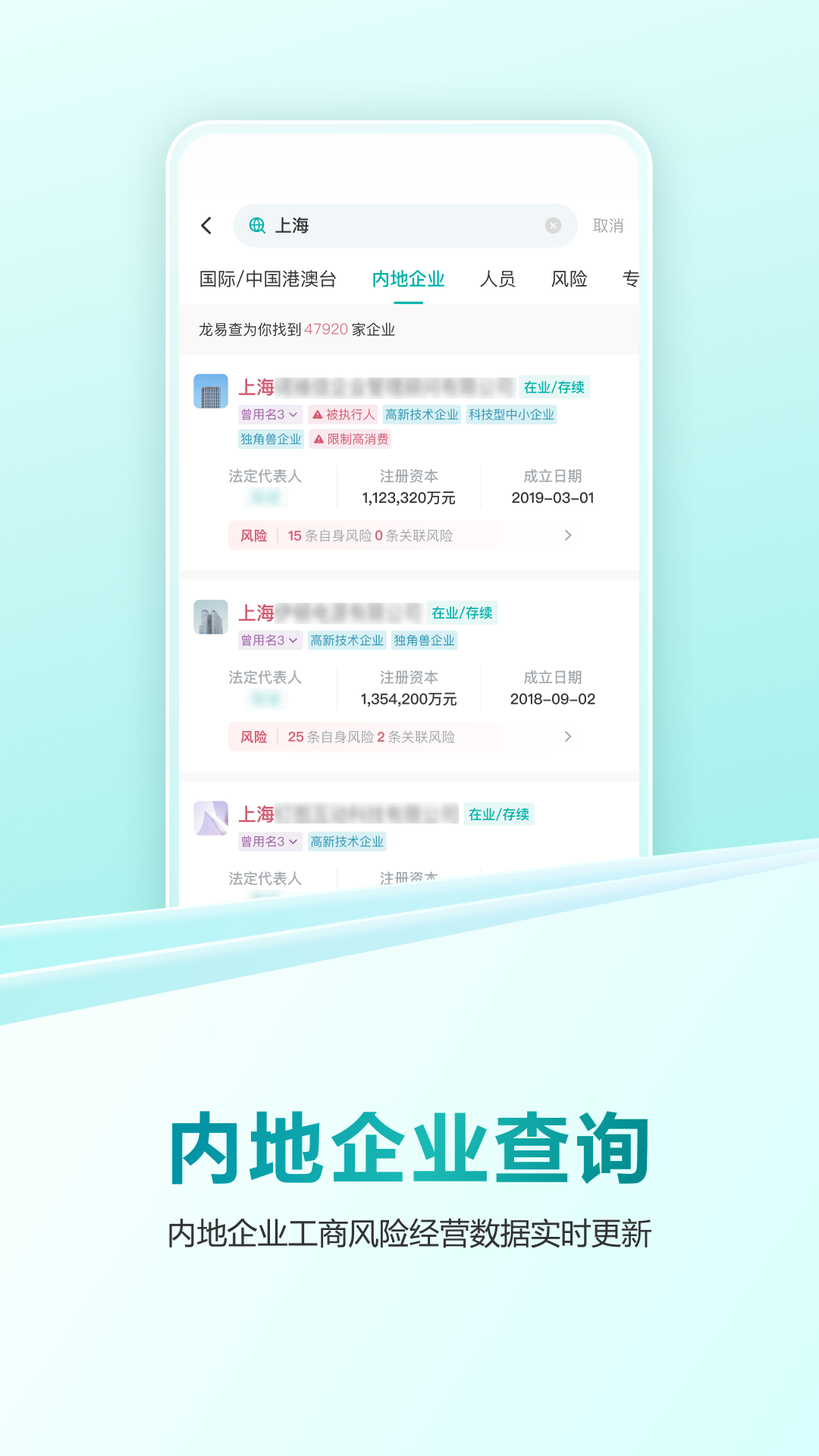 龙易查安卓版展示图3