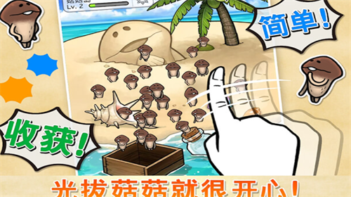 菇菇栽培研究室游戏截图2