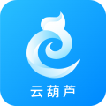 云葫芦商标查询注册安卓版