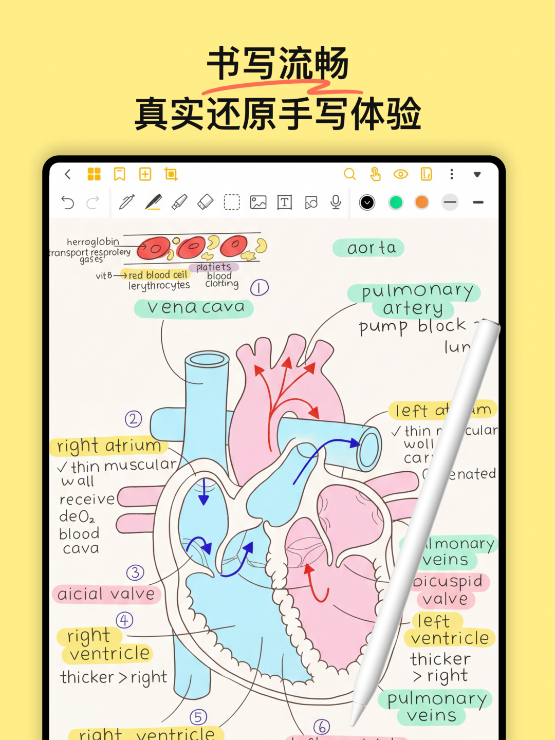 云记app安卓版软件展示图2