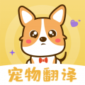 奇奥拉猫语app安卓版