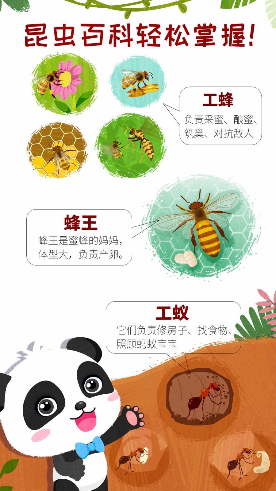 奇妙昆虫世界安卓版软件展示图4