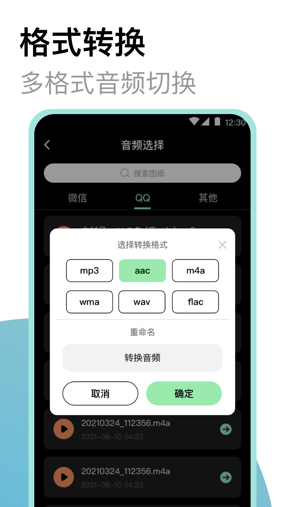 专业录音机app安卓版软件展示图4